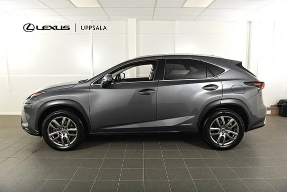 Lexus Nx300H 2020 photo 2