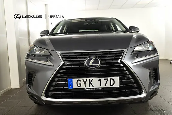 Lexus Nx300H 2020 photo 4