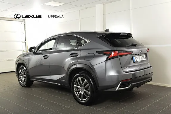 Lexus Nx300H 2020 photo 3