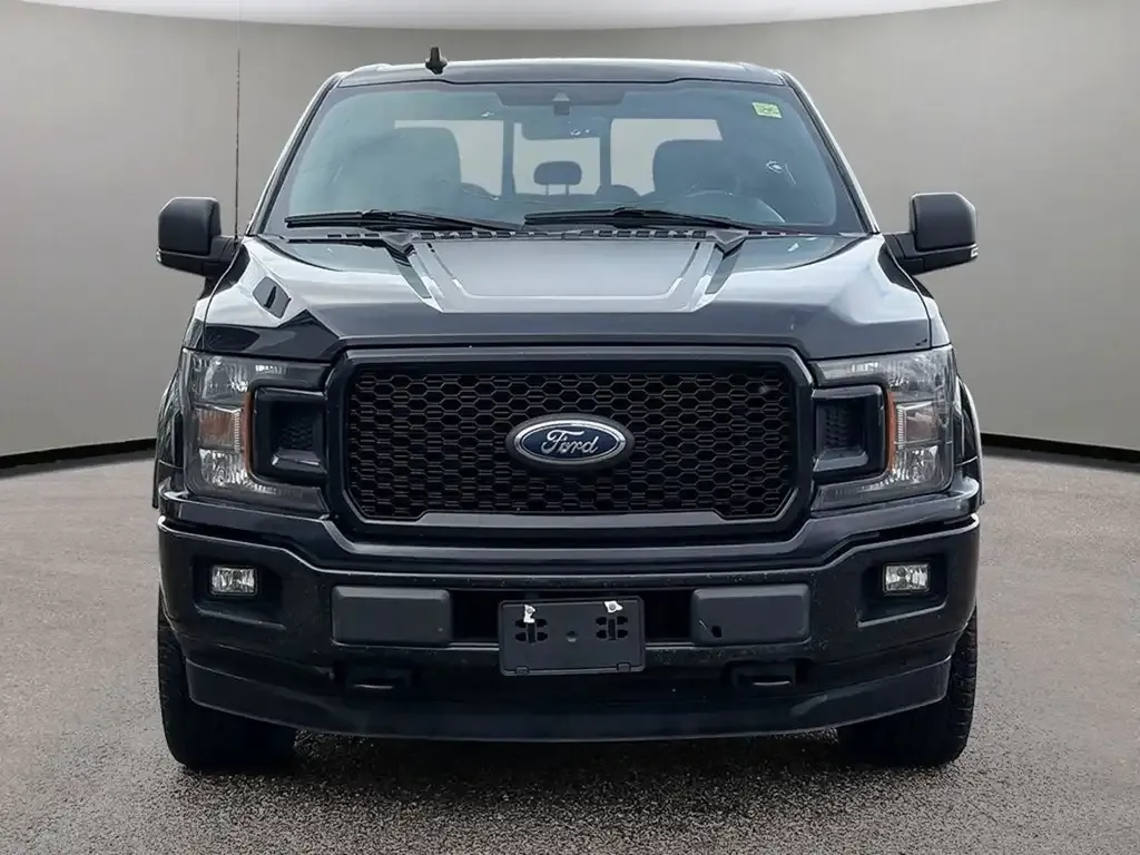 Ford F-150 2020 photo 2