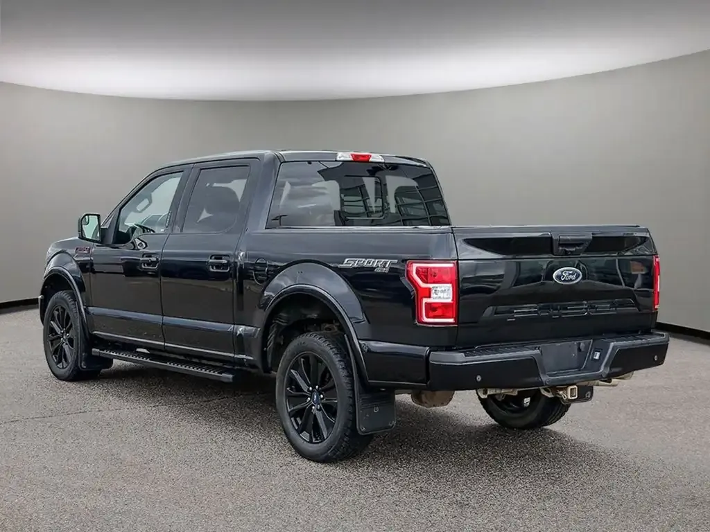 Ford F-150 2020 photo 4