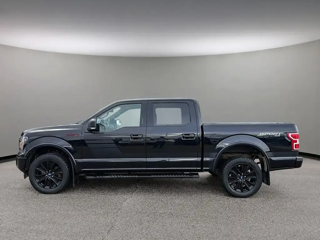 Ford F-150 2020 photo 3