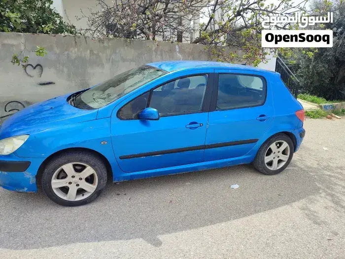 Peugeot 307 2003 photo 5