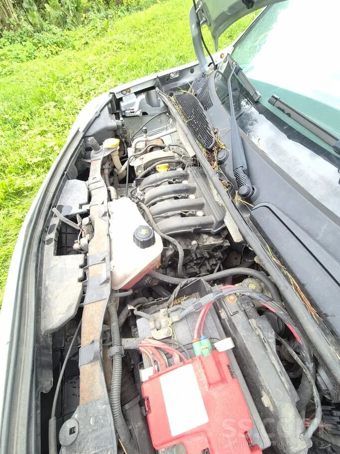 Renault Kangoo 2008 photo 3