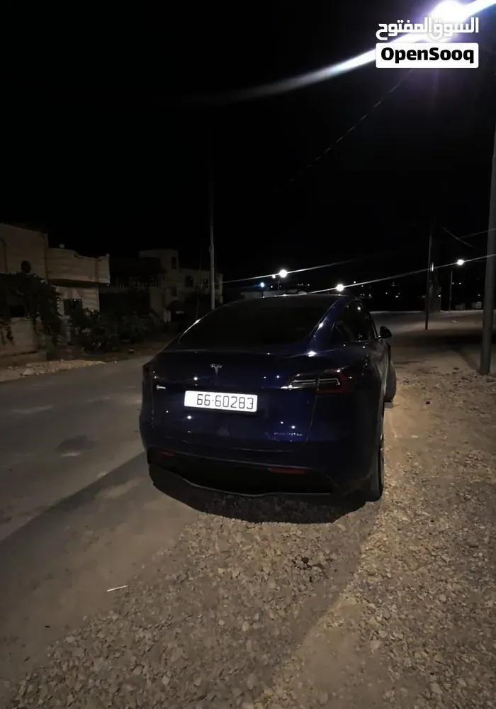 Tesla Model Y 2021 photo 4