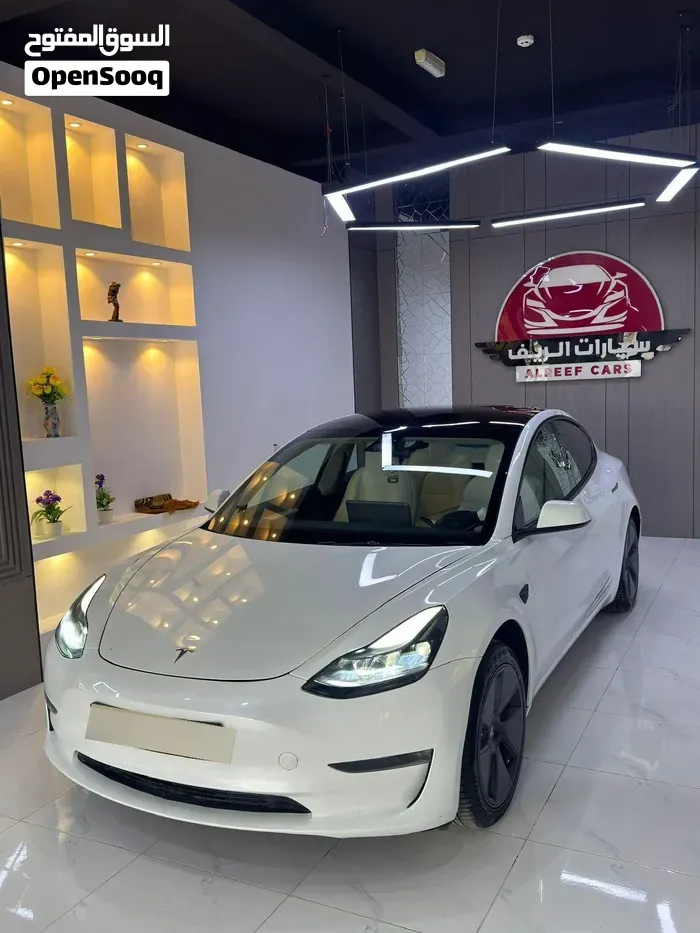 Tesla Model 3 2023 photo 2