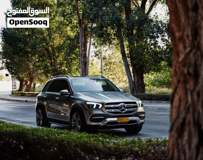 Mercedes-Benz Gle-Class 2021 photo 4