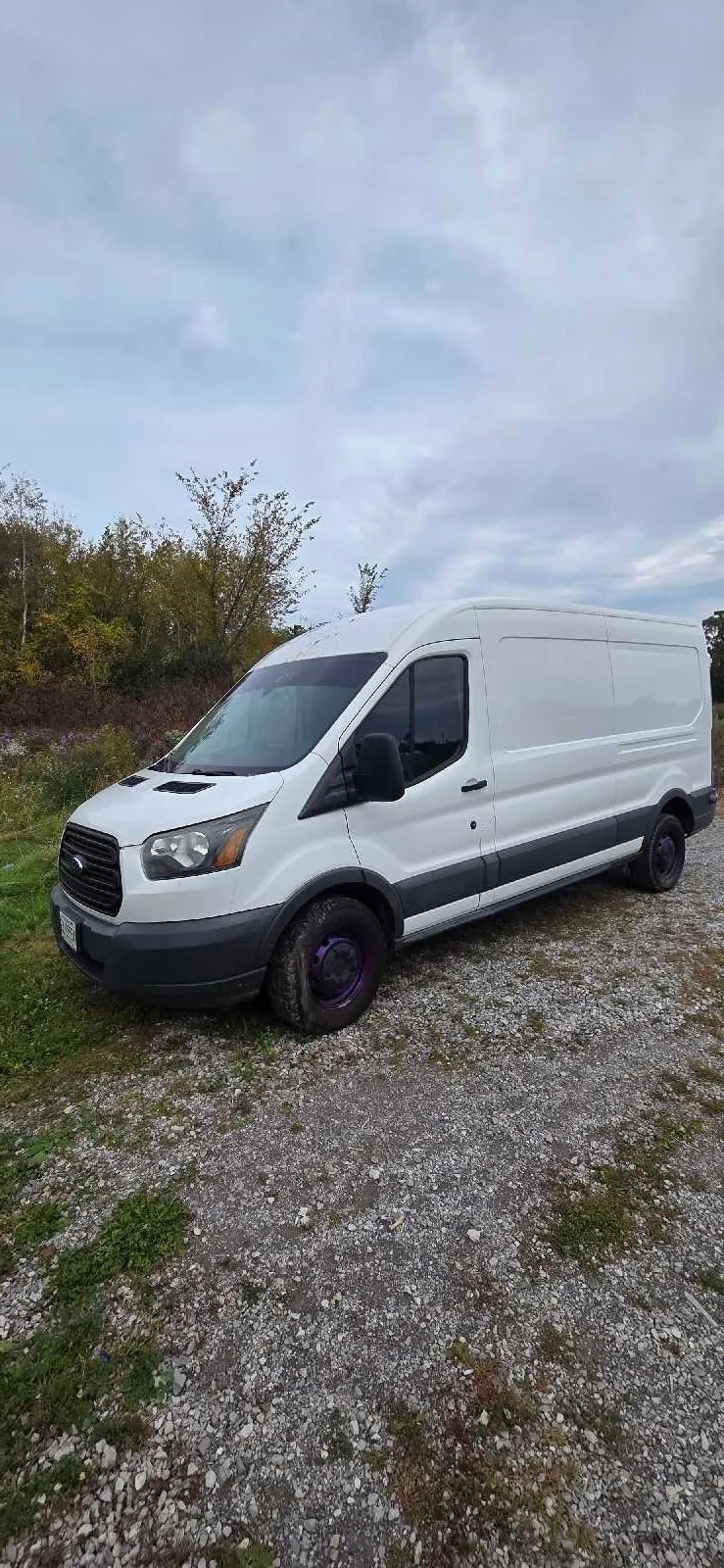 Ford Transit Cargo Van