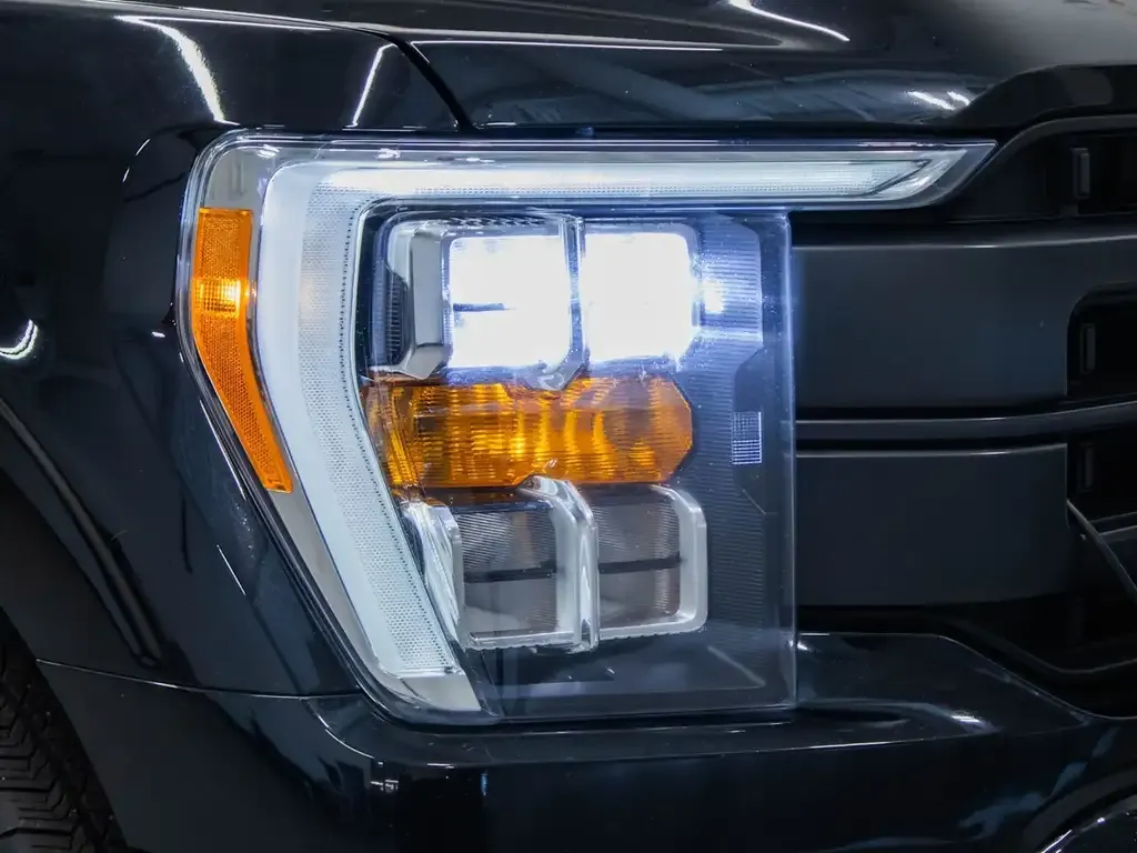 Ford F-150 2021 photo 3