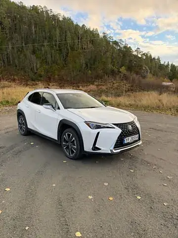 Lexus Ux250H 2023 photo 2