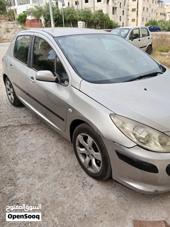 Peugeot 307 2006 photo 5