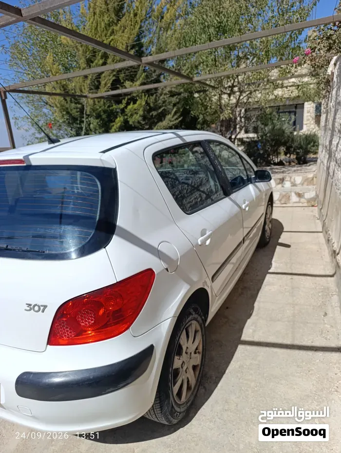 Peugeot 307 2006 photo 2