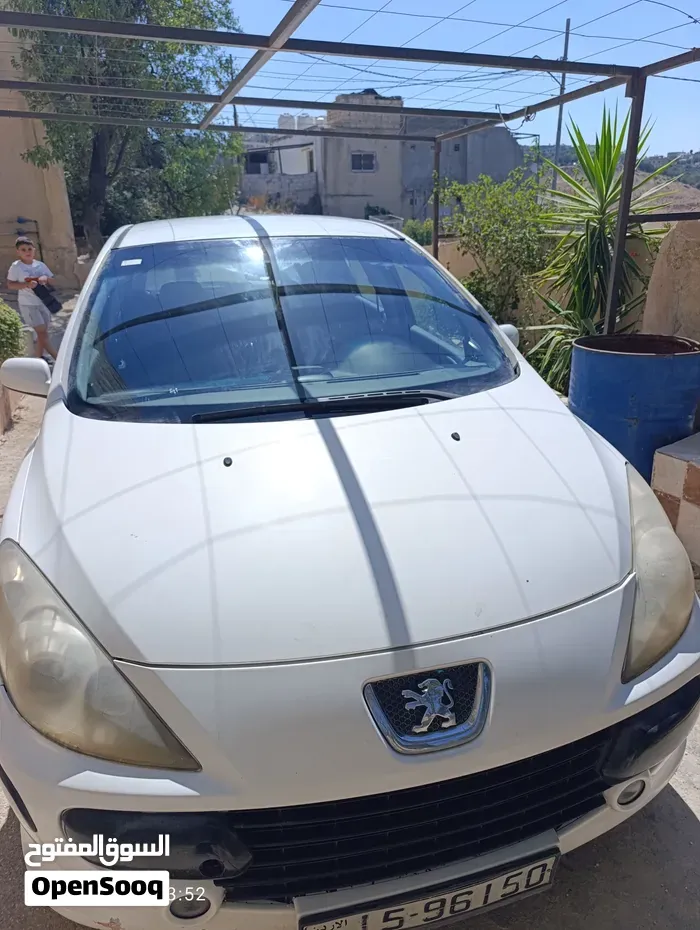 Peugeot 307 2006 photo 3