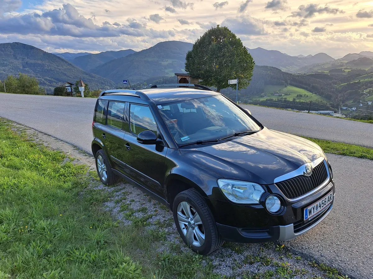 Skoda Yeti 2013 photo 2