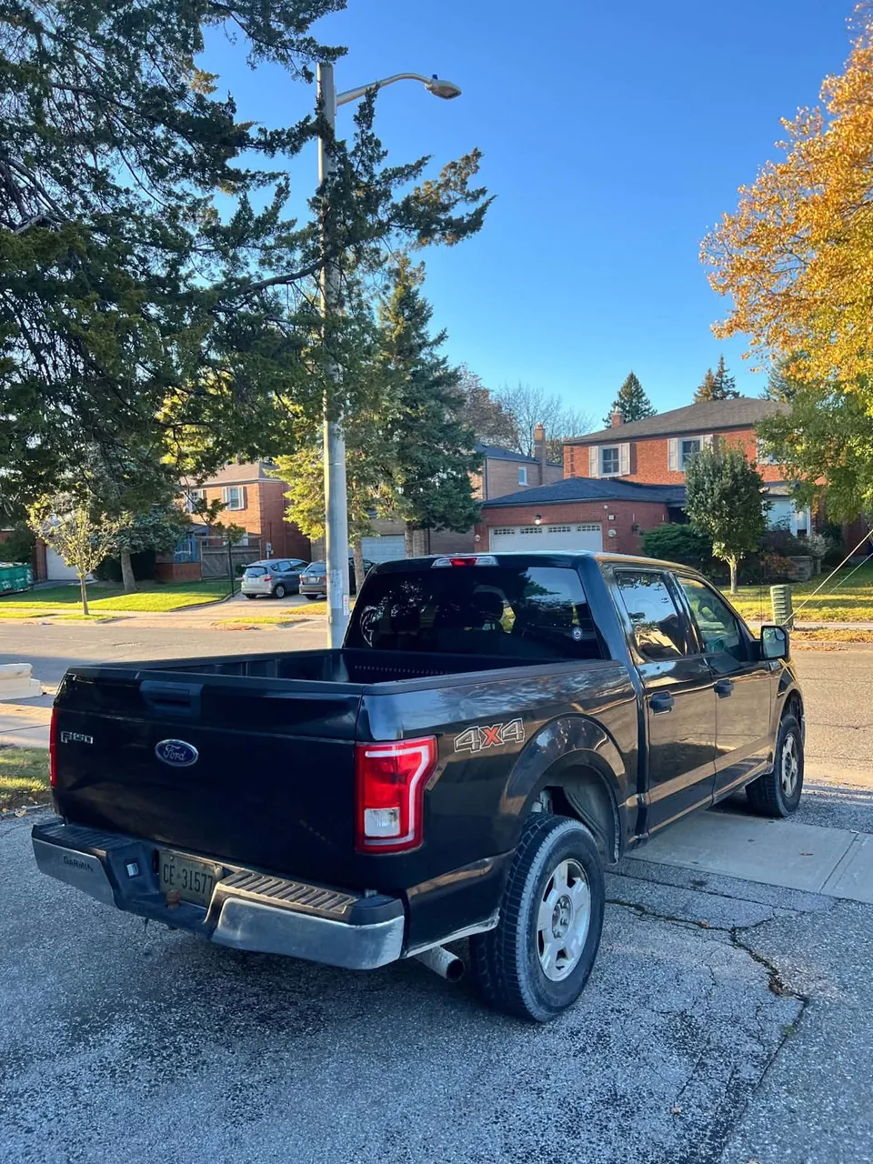 Ford F-150 2015 photo 3