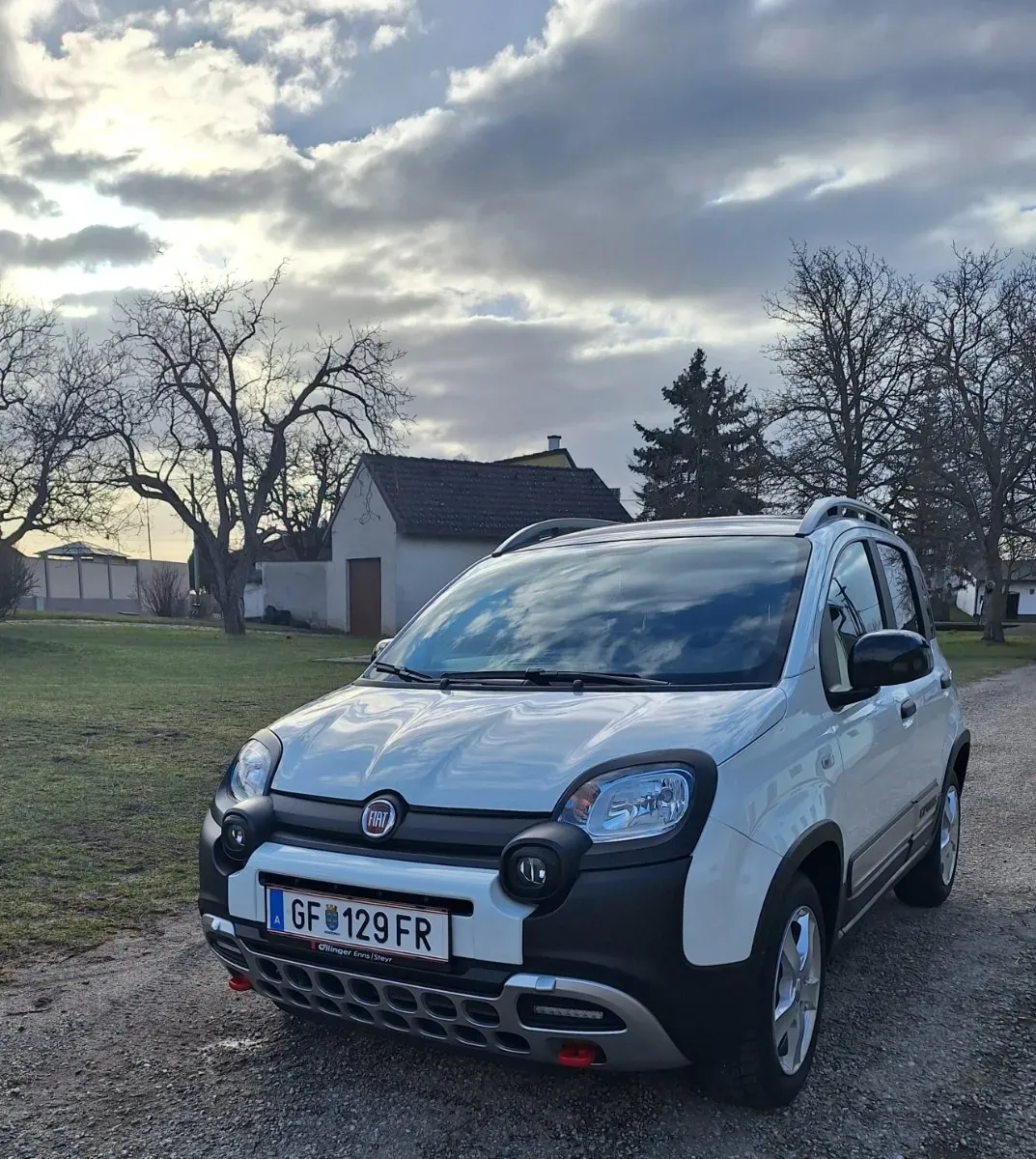 Fiat Panda 2022 photo 2
