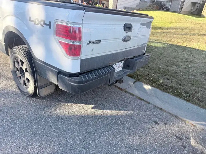 Ford F-150 2010 photo 4