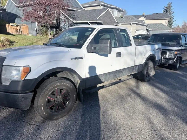 Ford F-150 2010 photo 2