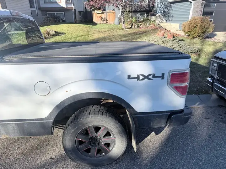 Ford F-150 2010 photo 3
