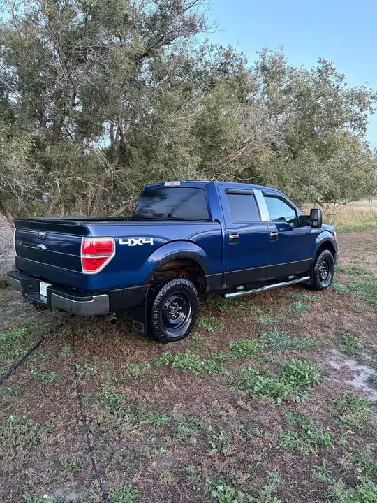 Ford F-150 2009 photo 3