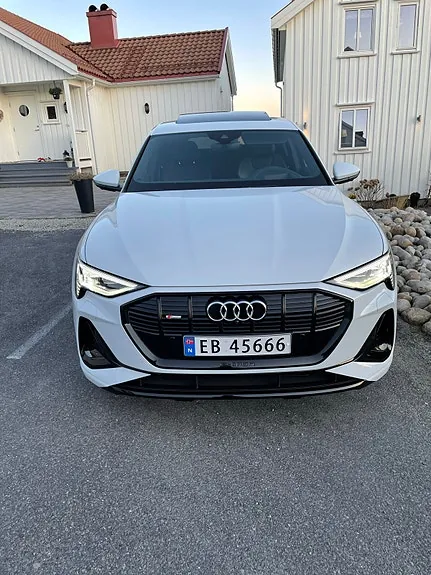 Audi E-Tron 2020 photo 3