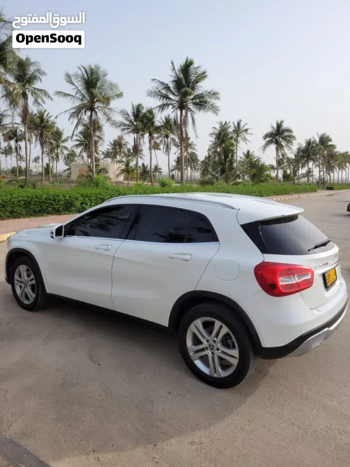 Mercedes-Benz Gla 250 2019 photo 3