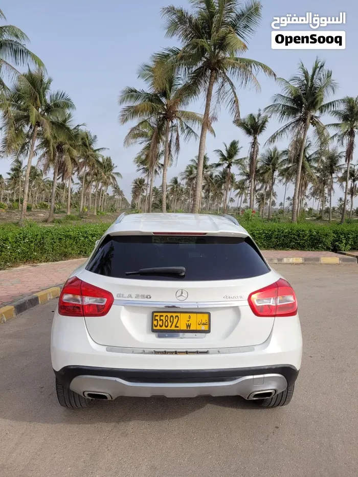 Mercedes-Benz Gla 250 2019 photo 4