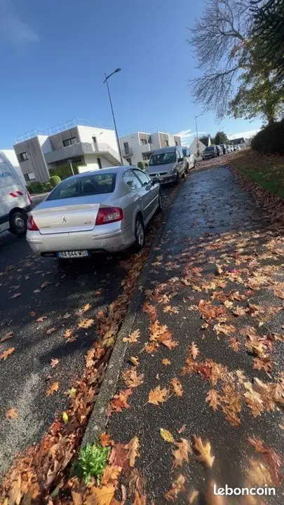 Peugeot 407 2010 photo 3