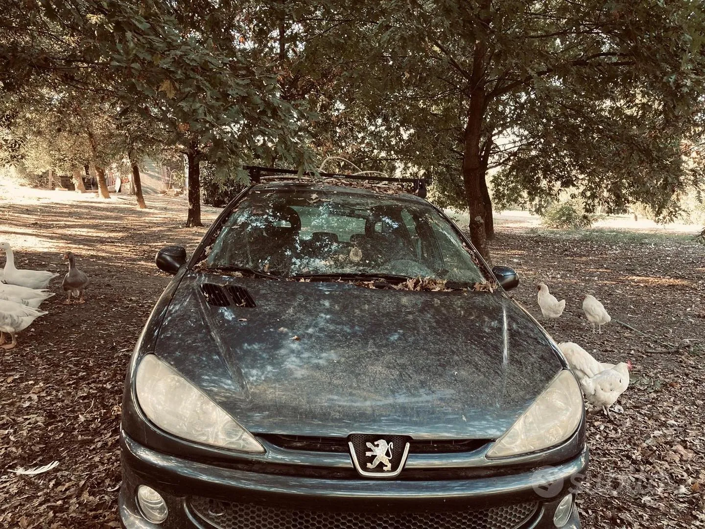 Peugeot 206