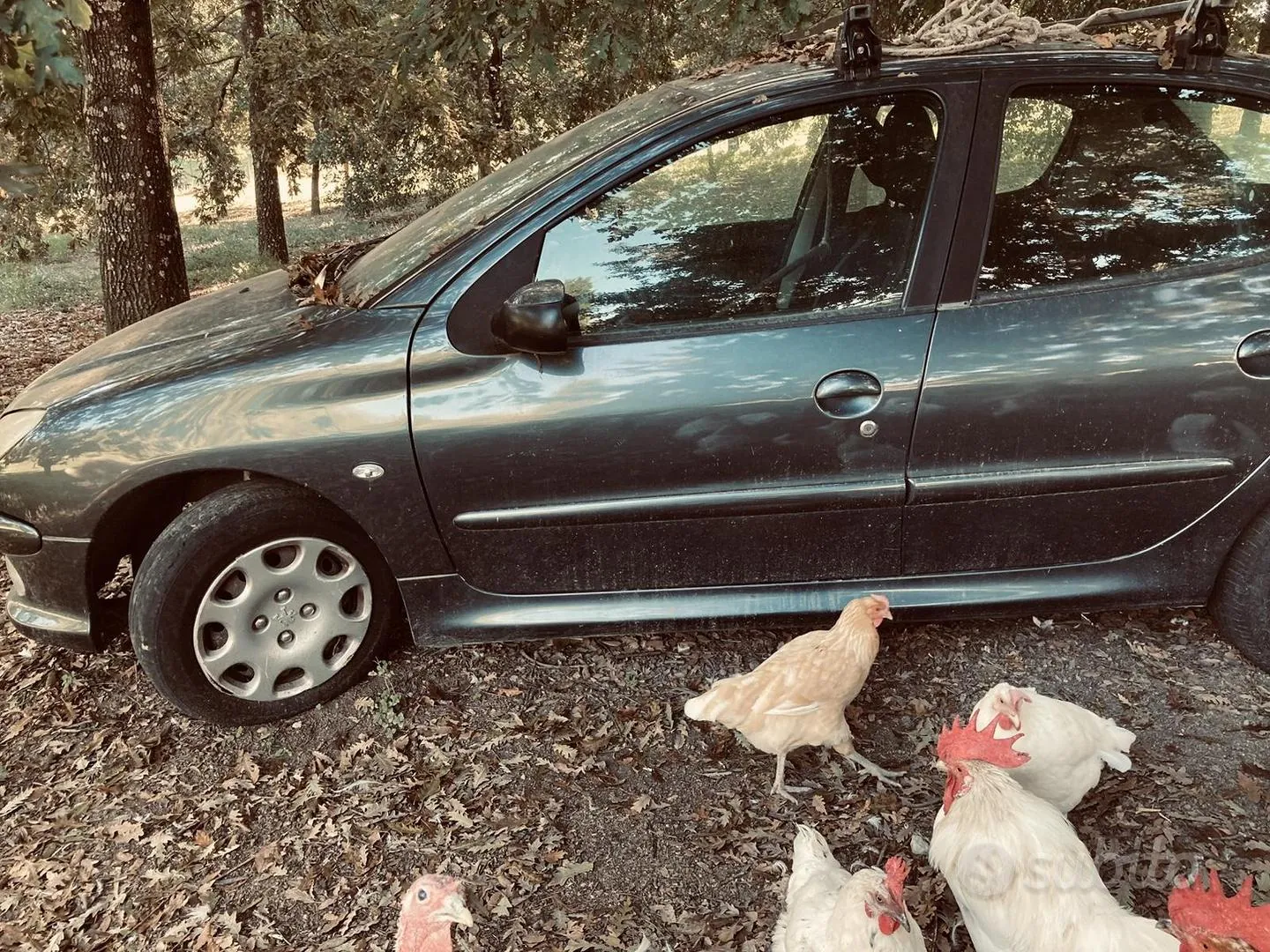 Peugeot 206 2007 photo 2