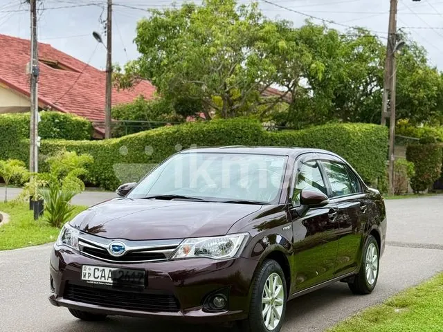 Toyota Axio 2014 photo 3