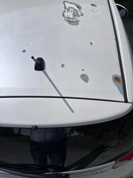 Toyota Iq 2009 photo 5