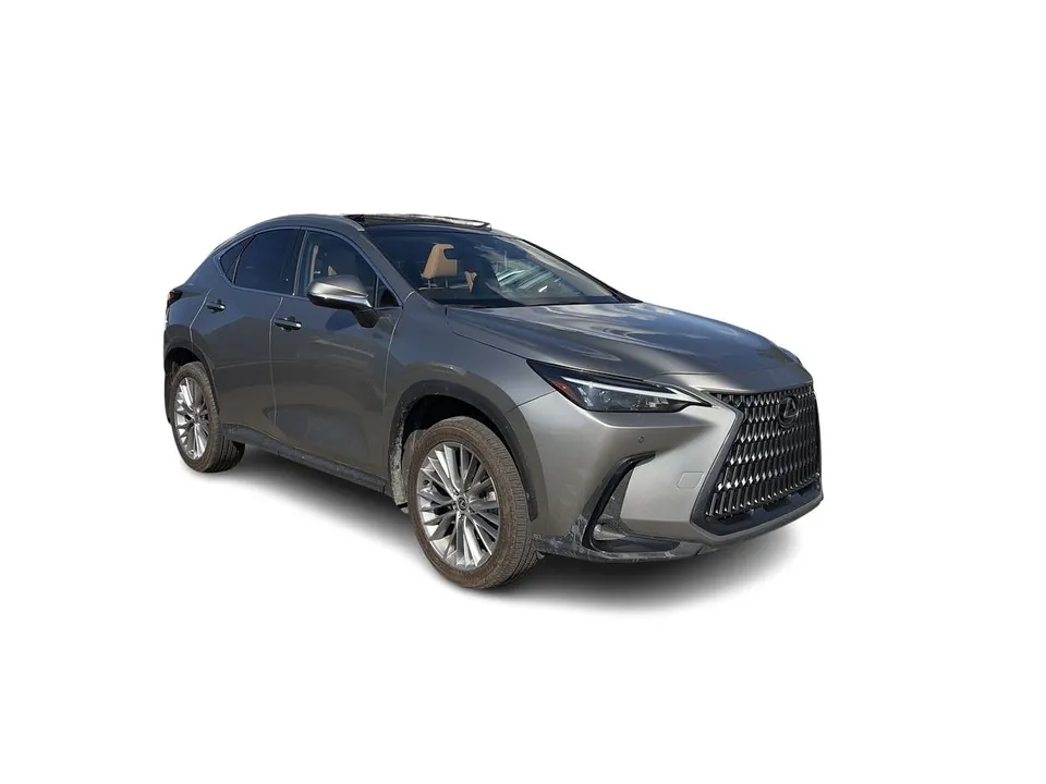 Lexus Nx 2024 photo 2