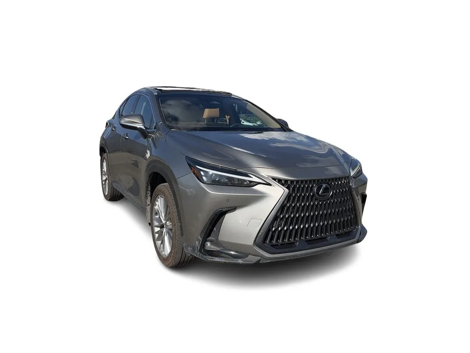 Lexus Nx 2024 photo 3