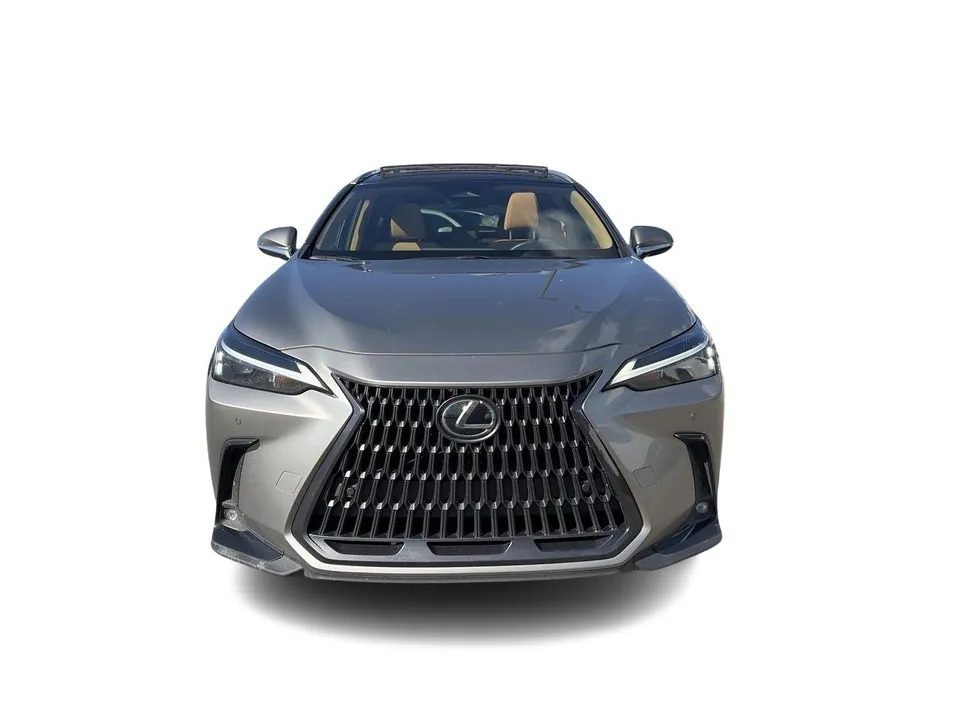 Lexus Nx 2024 photo 4