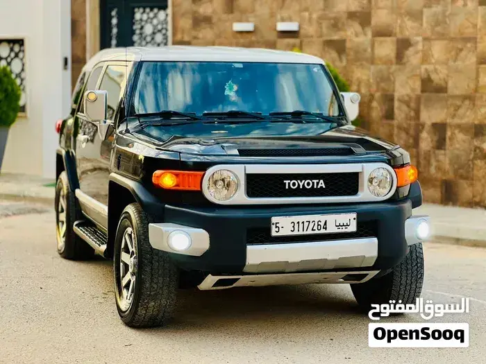 Toyota Fj 2010 photo 2