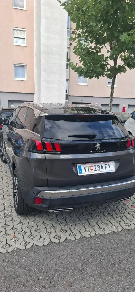 Peugeot 3008 2020 photo 3