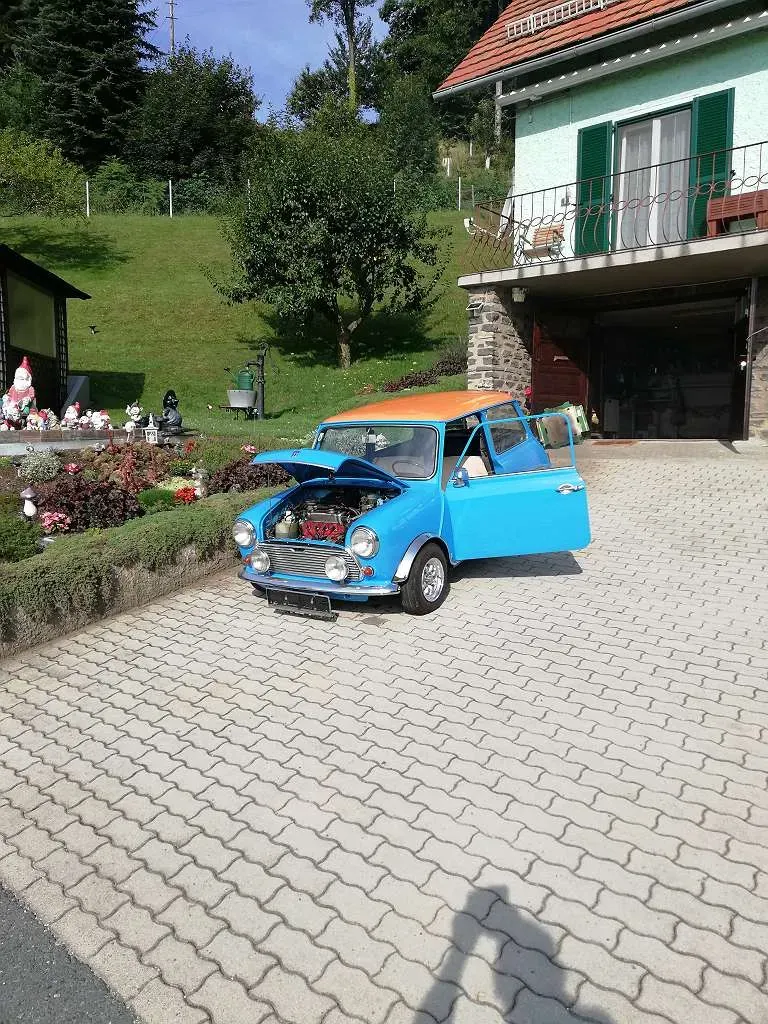 Mini Mini