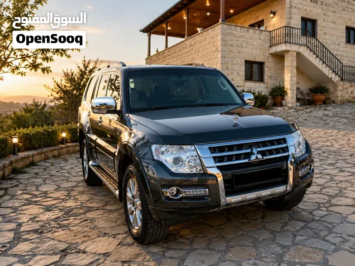 Mitsubishi Pajero 2011 photo 3