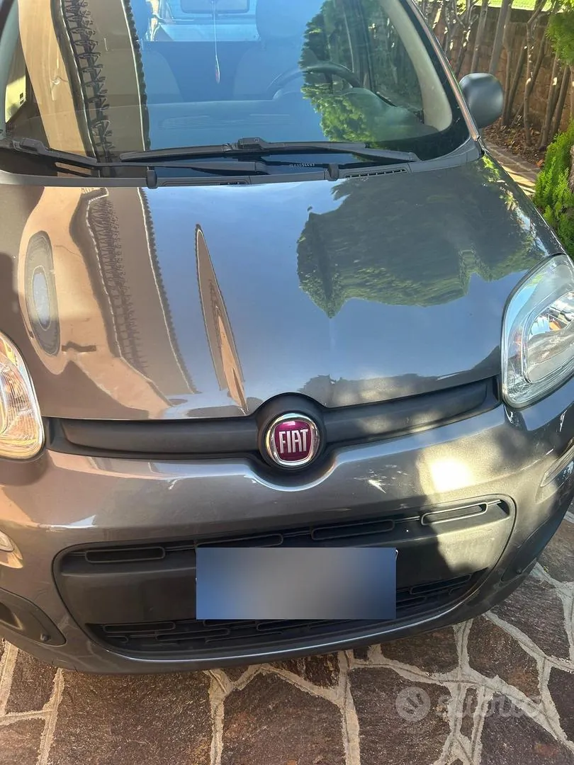 Fiat Panda 2019 photo 2