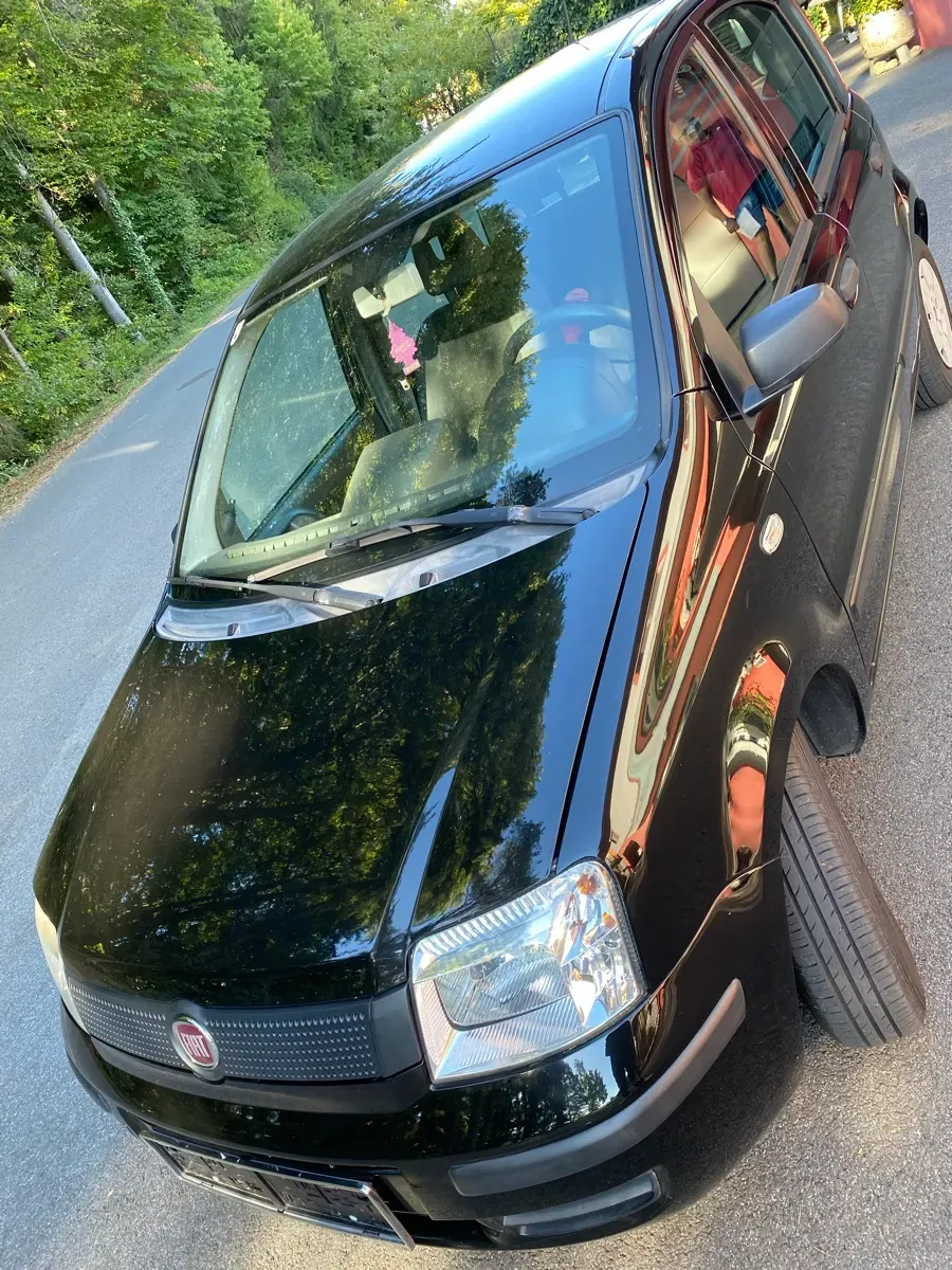 Fiat Panda 2009 photo 2