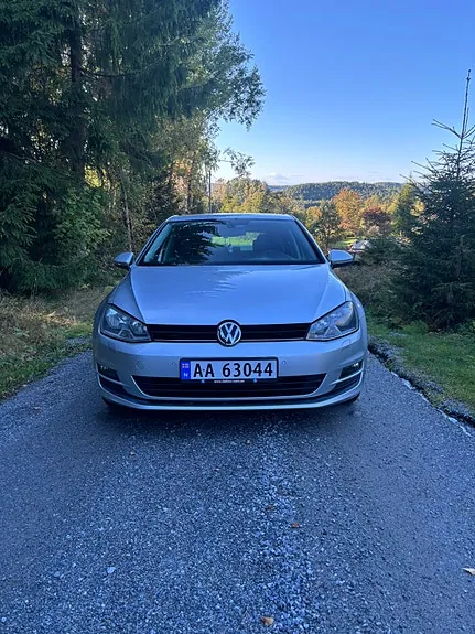 Volkswagen Golf Vii 2013 photo 2