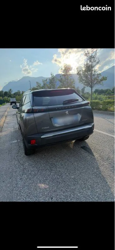Peugeot 2008 2020 photo 2