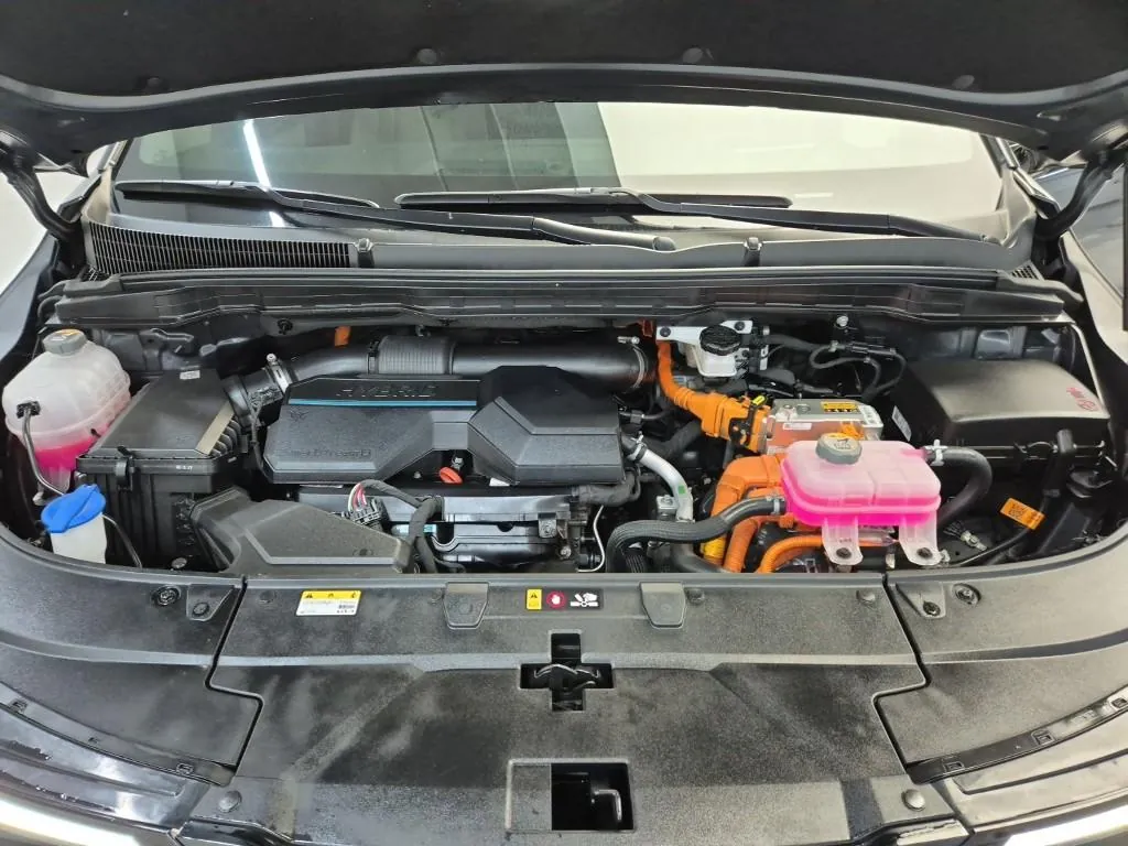 Kia Carnival 2025 photo 5