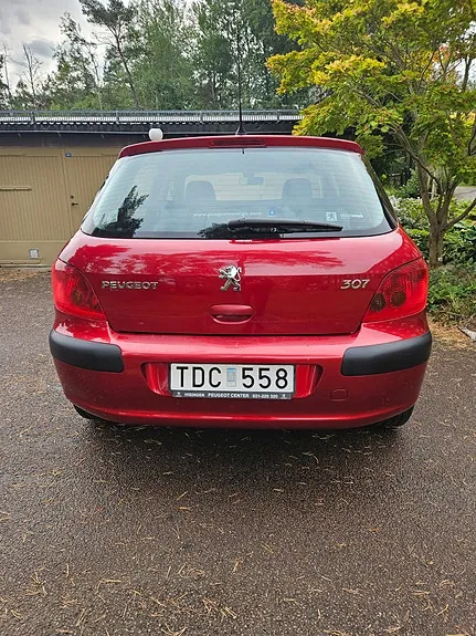 Peugeot 307 2002 photo 4