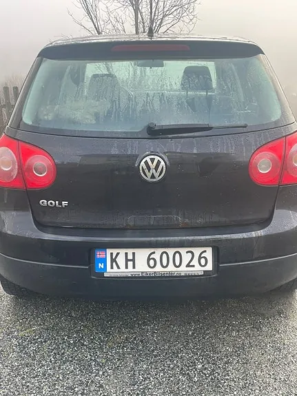 Volkswagen Golf V 2008 photo 2
