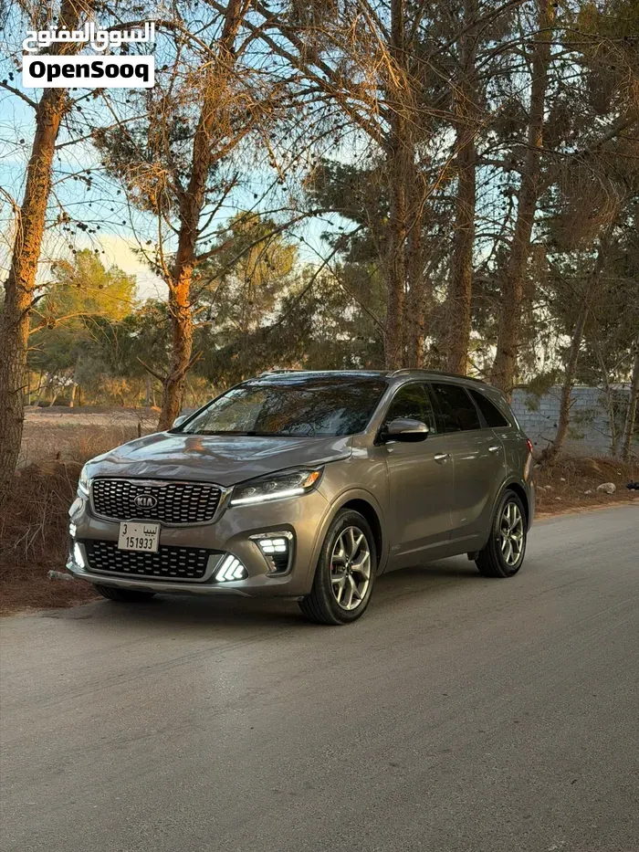 Kia Sorento 2019 photo 2