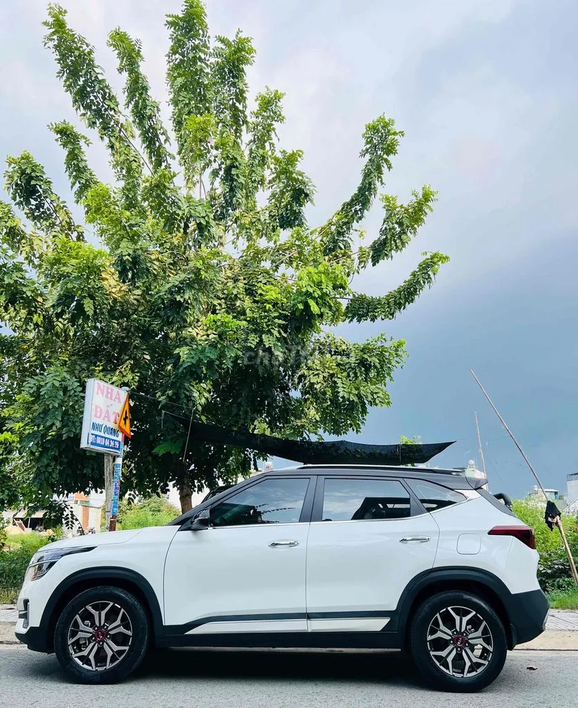 Kia Seltos 2020 photo 3