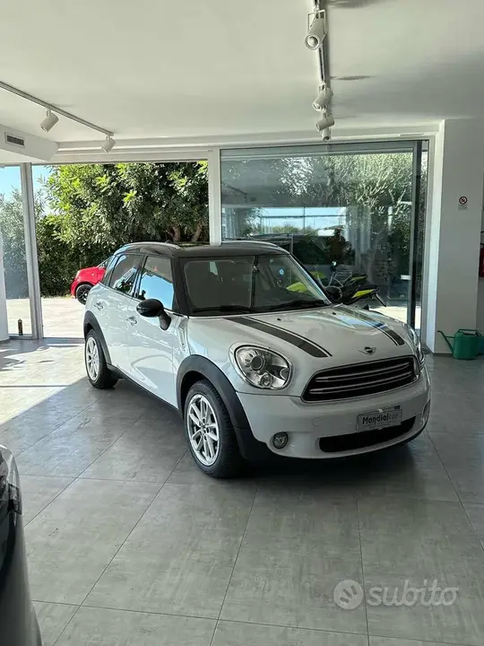 Mini Countryman