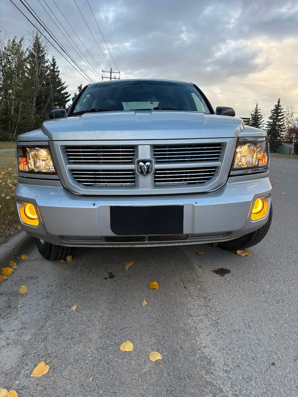 Dodge Dakota 2008 photo 3